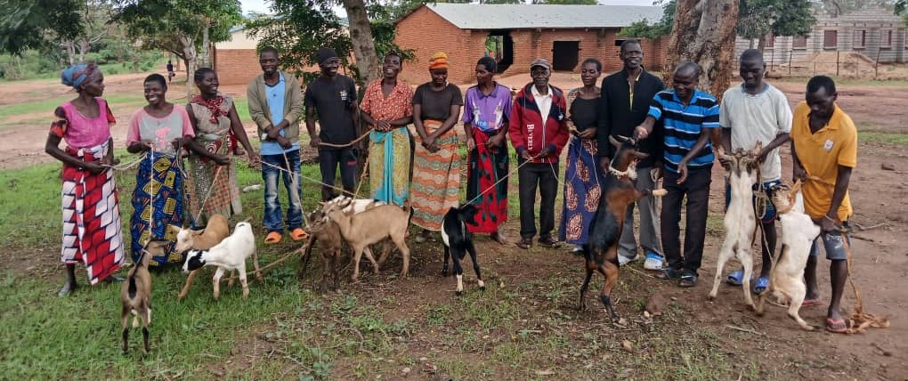 Farmer-to-Farmer Goat Pass-on in Mvera EPA, Dowa